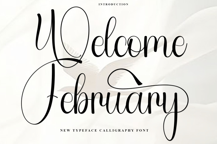 Welcome February