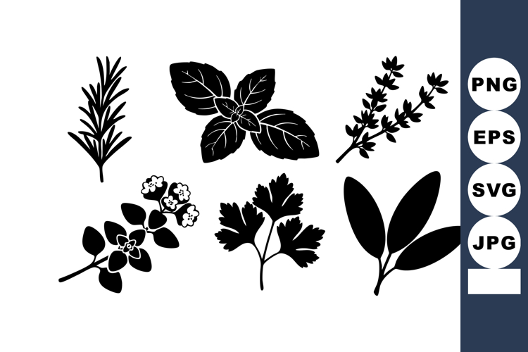 Mint Clipart Image 6