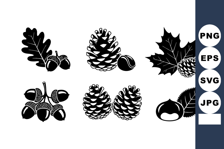 Acorns Clipart
