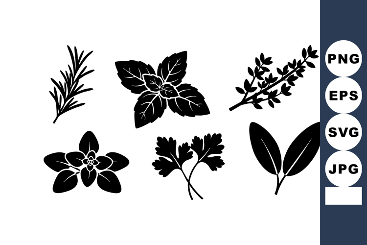 Silhouette of Various Culinary Herbs Vector with Rosemary Ba