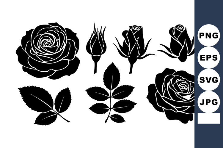 Rose Clipart Image 2