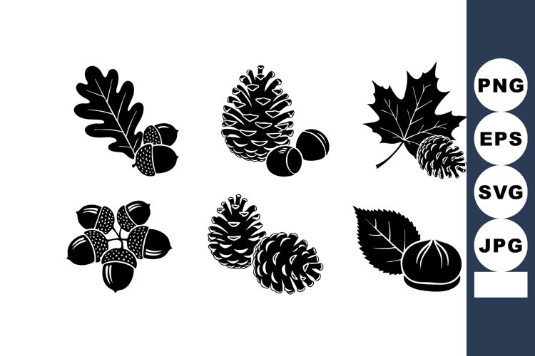 Acorn Vector Image 20