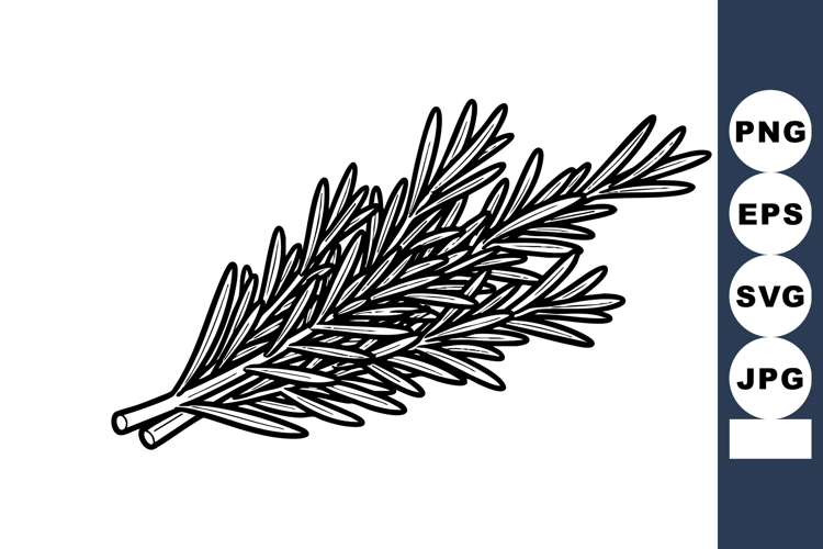 Rosemary herb branch black and white sketch style vector ill