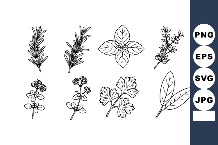 Leaf Vector Image 13