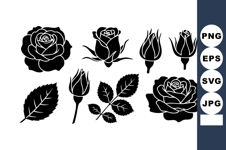 Rose Clipart Image 23