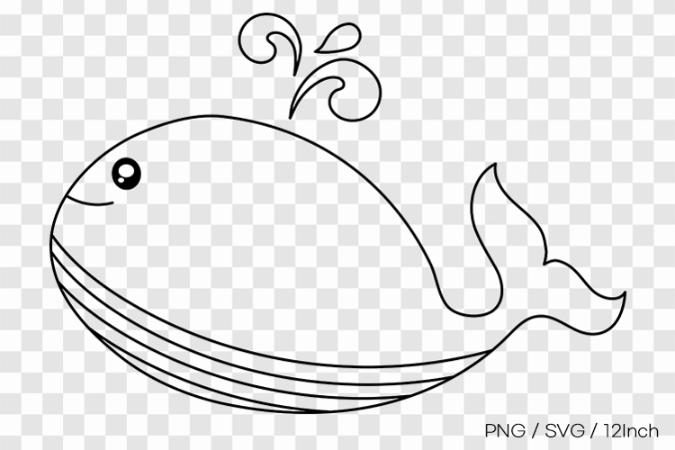 Huge ocean whale mammal giant marine water PNG animal illust