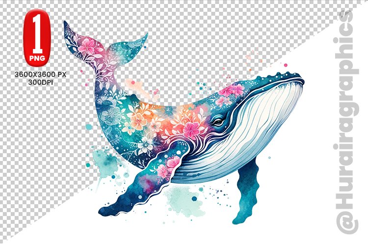 Cute Whale Clipart - PNG File