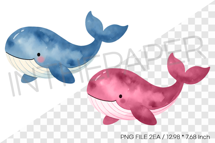 Whale Drawing Image 12