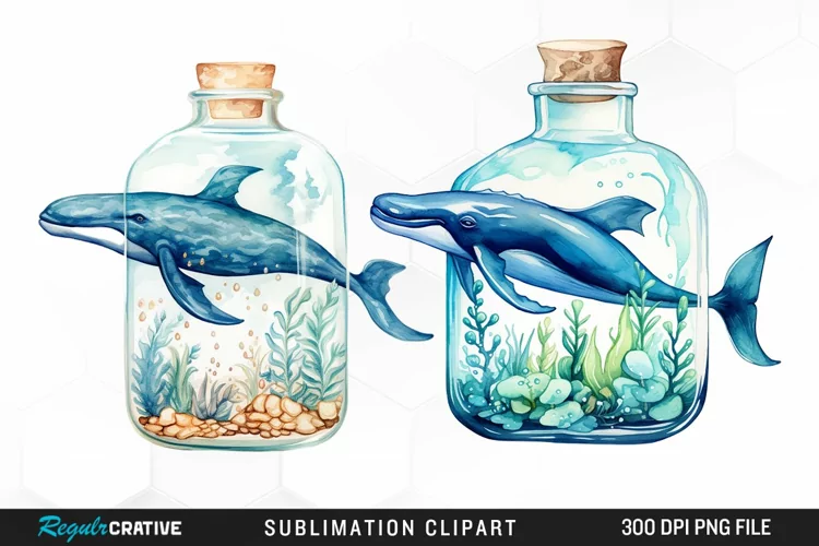 Whale in Bottle Watercolor Sublimation PNG Clipart