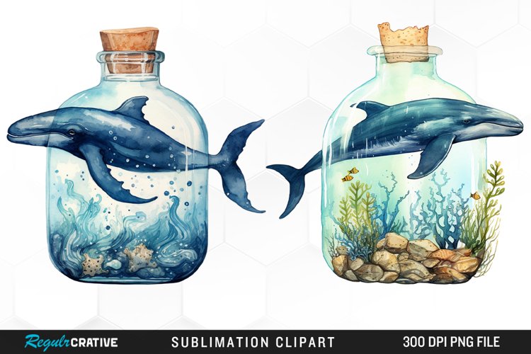 Whale Clipart Image 12
