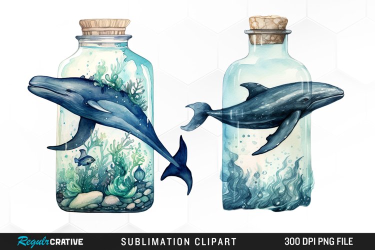 Whale Clipart Image 11