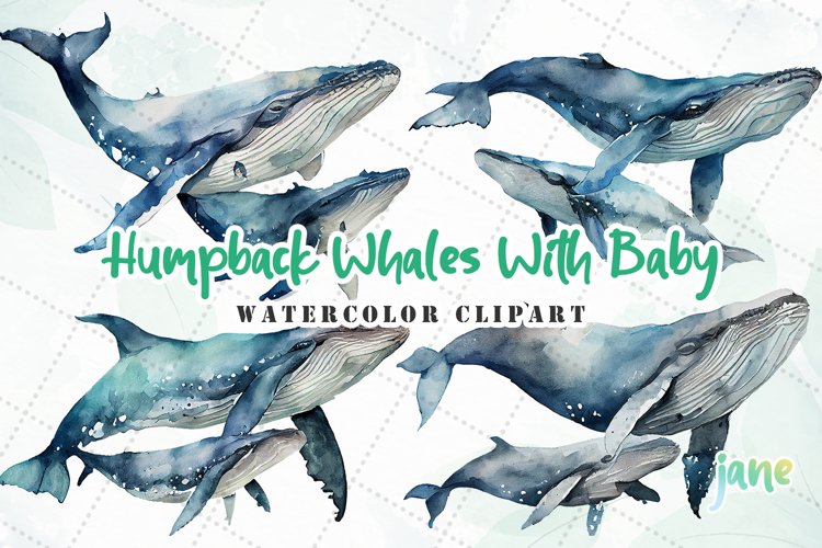 Humpback Whales With Baby Watercolor Sublimation Clipart