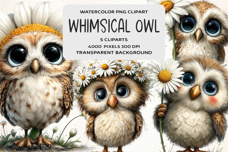 Whimsical Cute Owl Daisy Clipart
