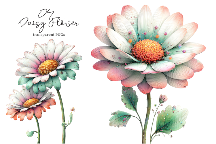 Daisy Png Image 2