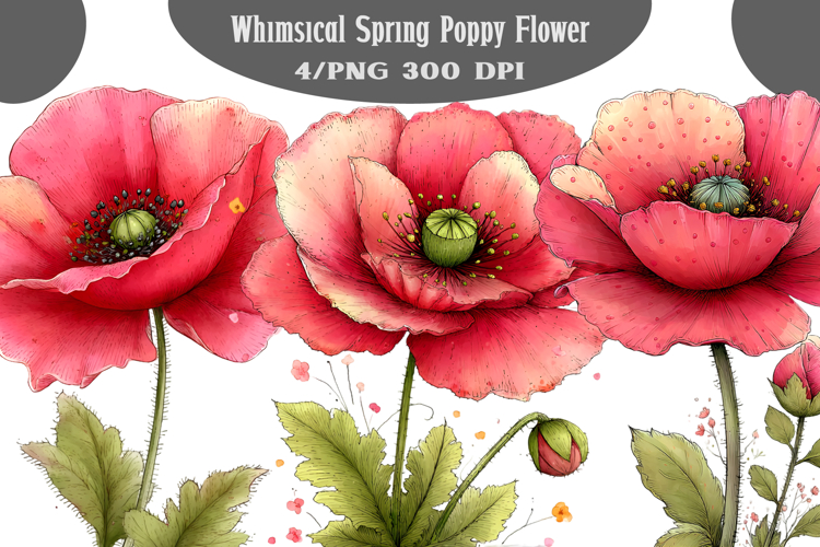 Whimsical Spring Poppy Flower Clipart PNG