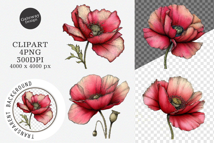 Whimsical Spring Poppy Flowers Clipart