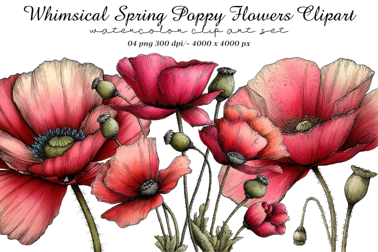Poppy Clipart Image 6