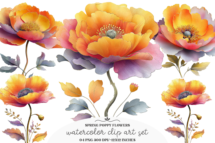 Whimsical spring poppy flowers Png - spring poppy flowers