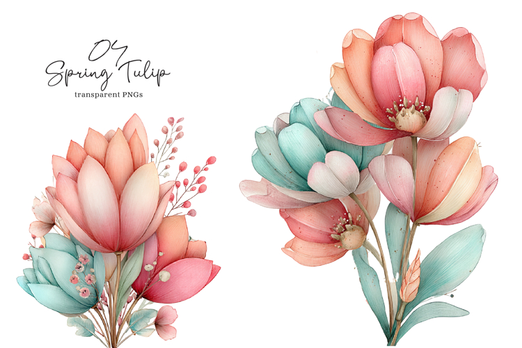 Tulip Illustration