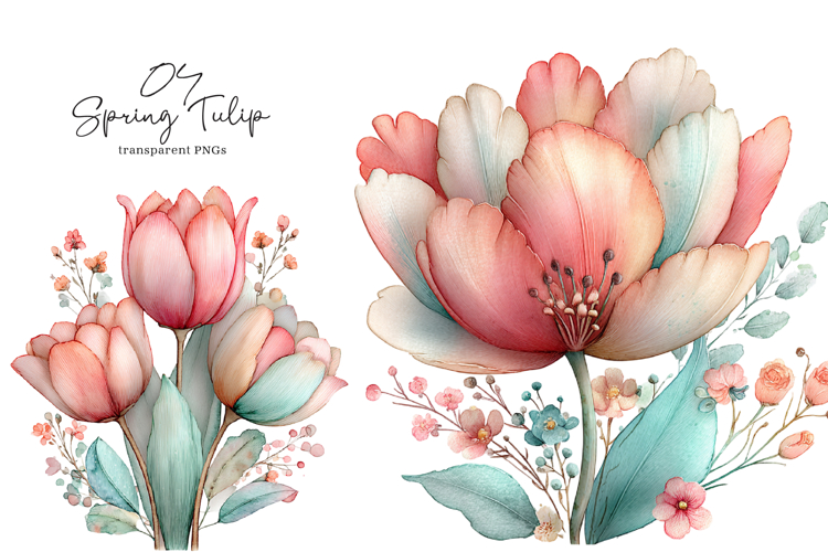 Tulip Illustration Image 2