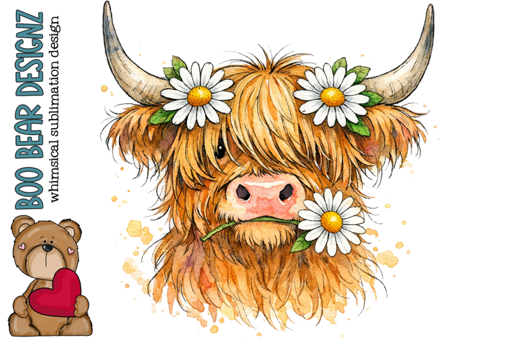 Sweet Little Highland Cow