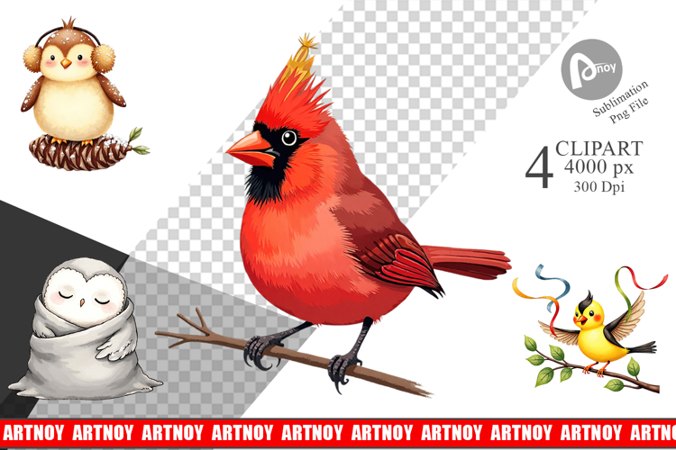 Whimsical Winter Birds Clipart