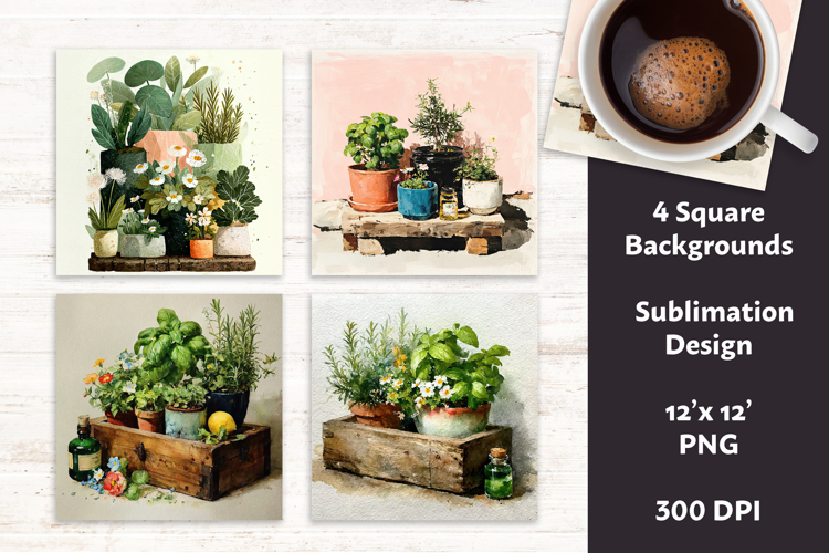 Rosemary Png Image 3