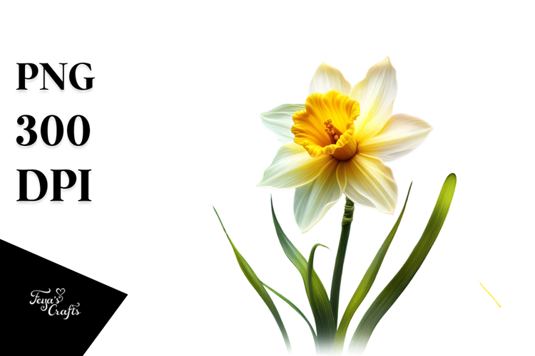 Peonies with Golden Insertions, High-Quality PNG