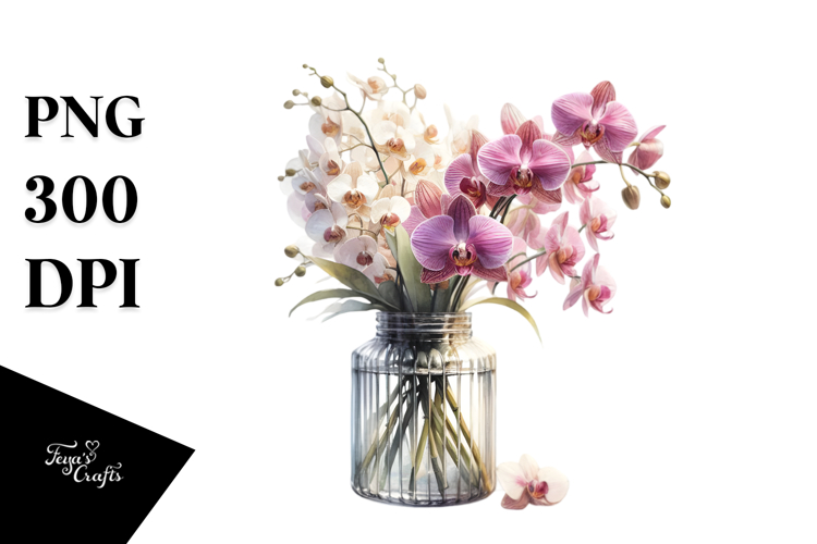 Orchid Clipart Image 22