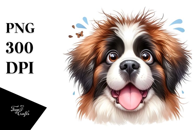 Baby Saint Bernard with Crazy Furr