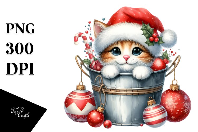 Cute Highland Baby Cat in Bucket, PNG