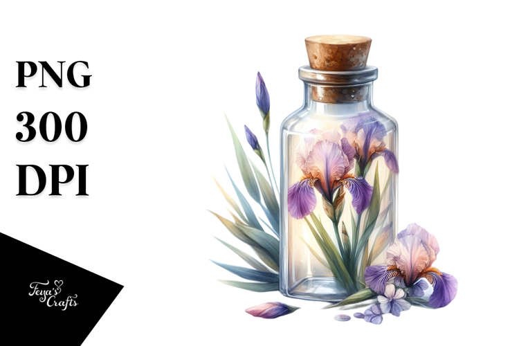 Iris Clipart