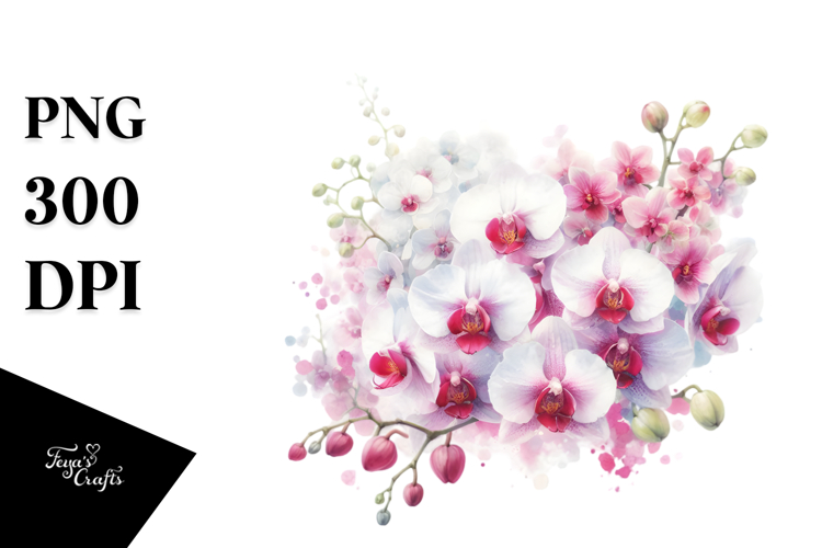 Orchid Clipart Image 15