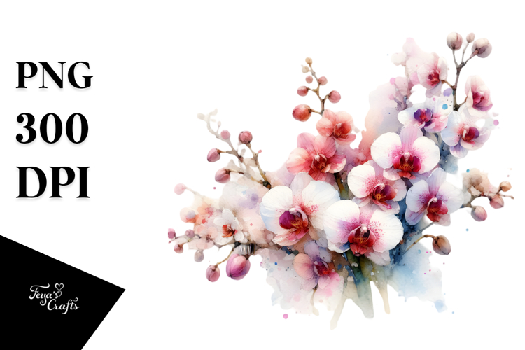Orchid Clipart Image 13