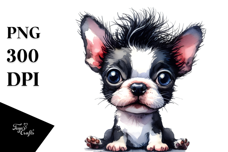 Expressive Boston Terrier, PNG