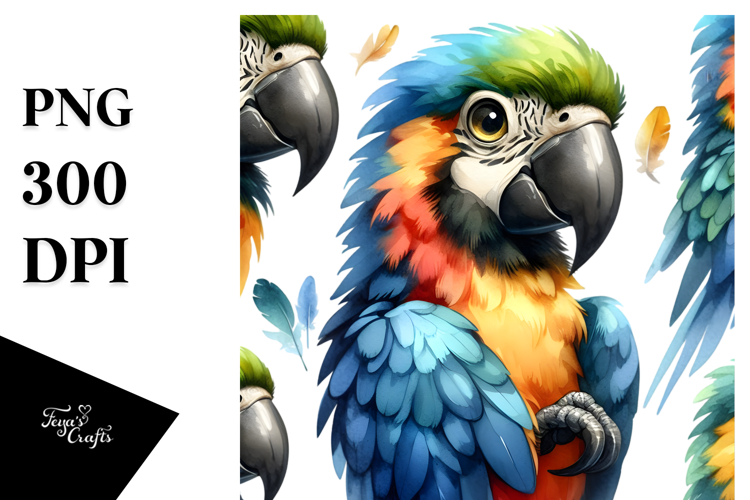 Macaw Clipart Image 5