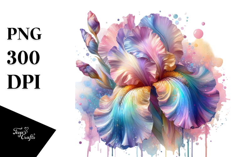 Iris Clipart Image 15