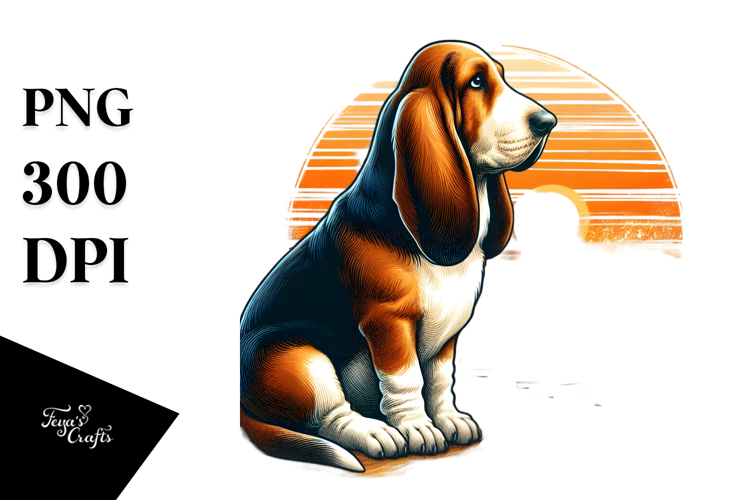 Basset Hound in Sunset Beach