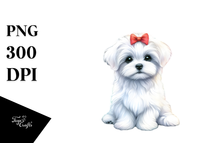 Maltese Clipart Image 11