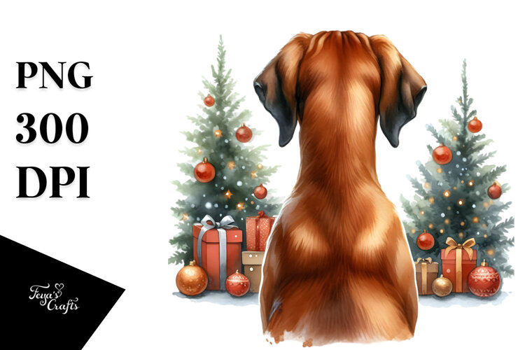 Cute Rhodesian Ridgeback with Christmass Decorations PNG example image 1