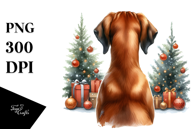 Cute Rhodesian Ridgeback with Christmass Decorations PNG