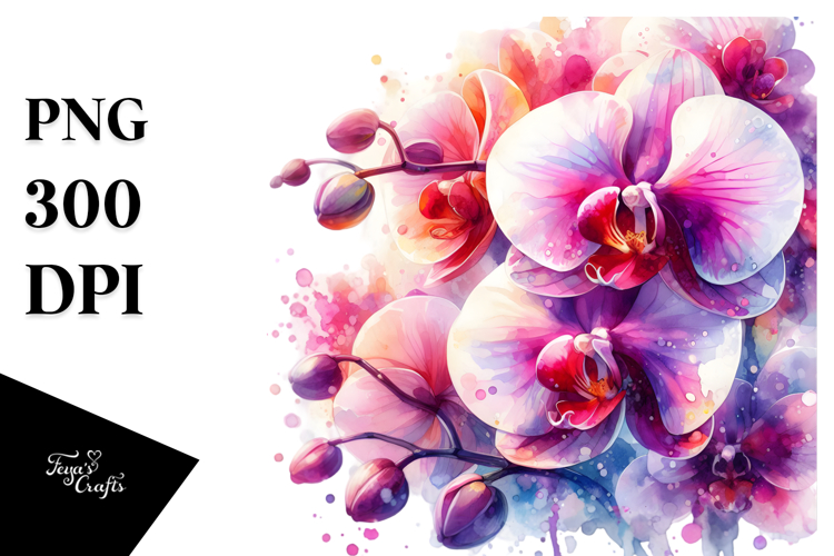 Orchid Clipart Image 12