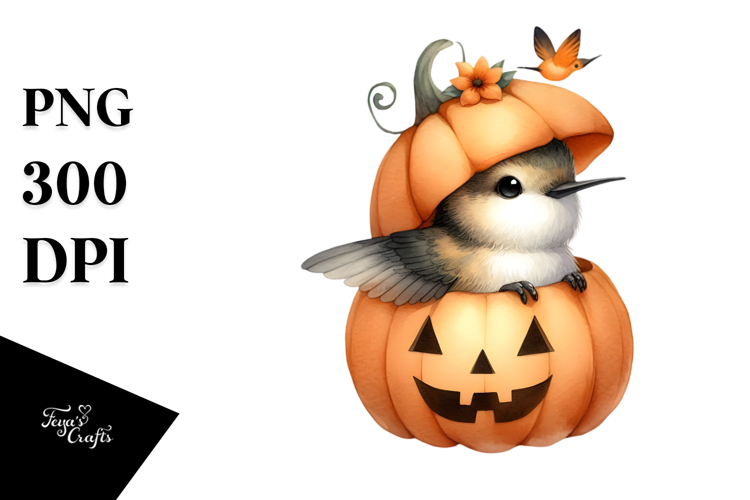 Hummingbird Png Image 6
