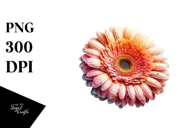 Gerbera with Watercolor Splash PNG