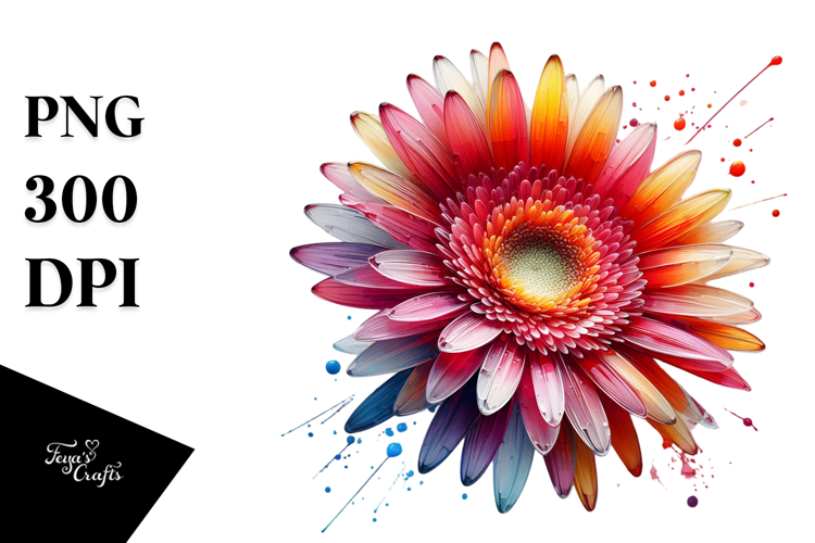 Vibrant Gerbera, Watercolor Splash PNG