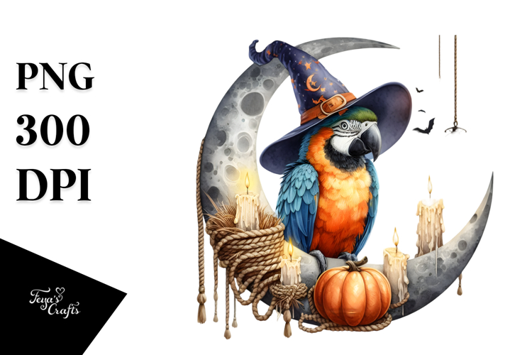 Macaw Clipart Image 18
