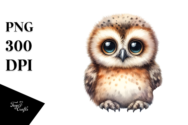Cute Baby Owl PNG