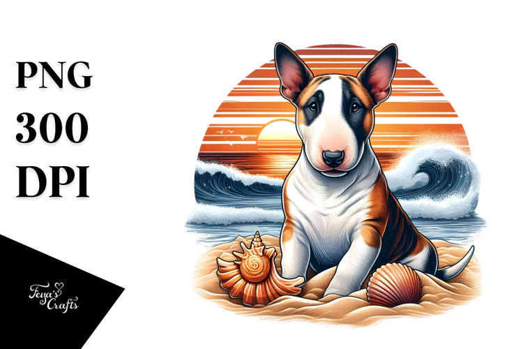 Shell Png Image 3