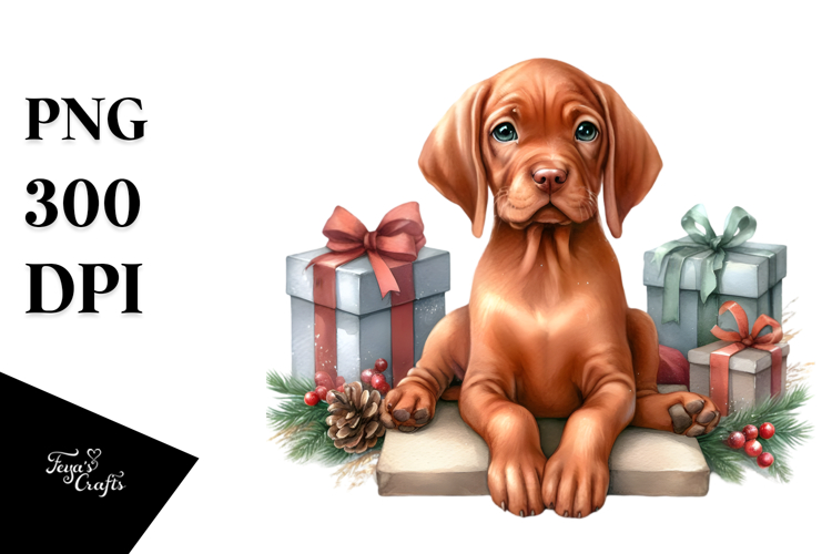 Gifts Png Image 21