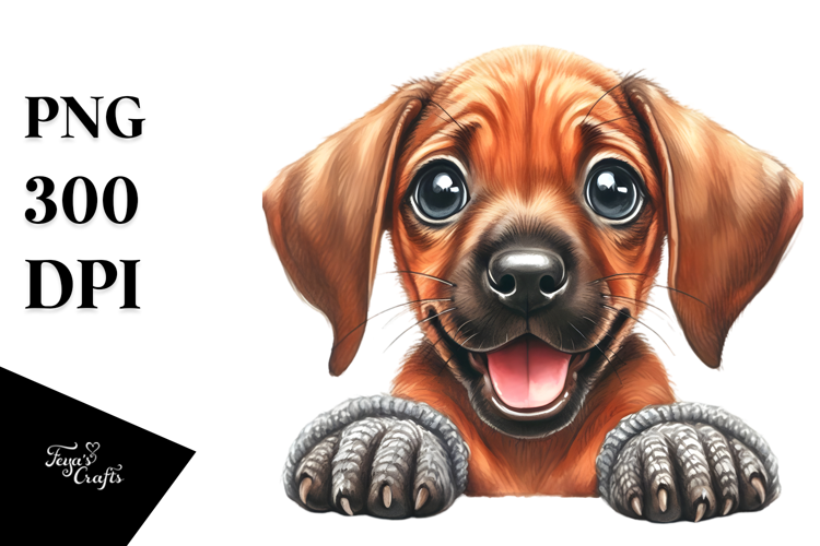 Happy Rhodesian Ridgeback with Crazy Fur